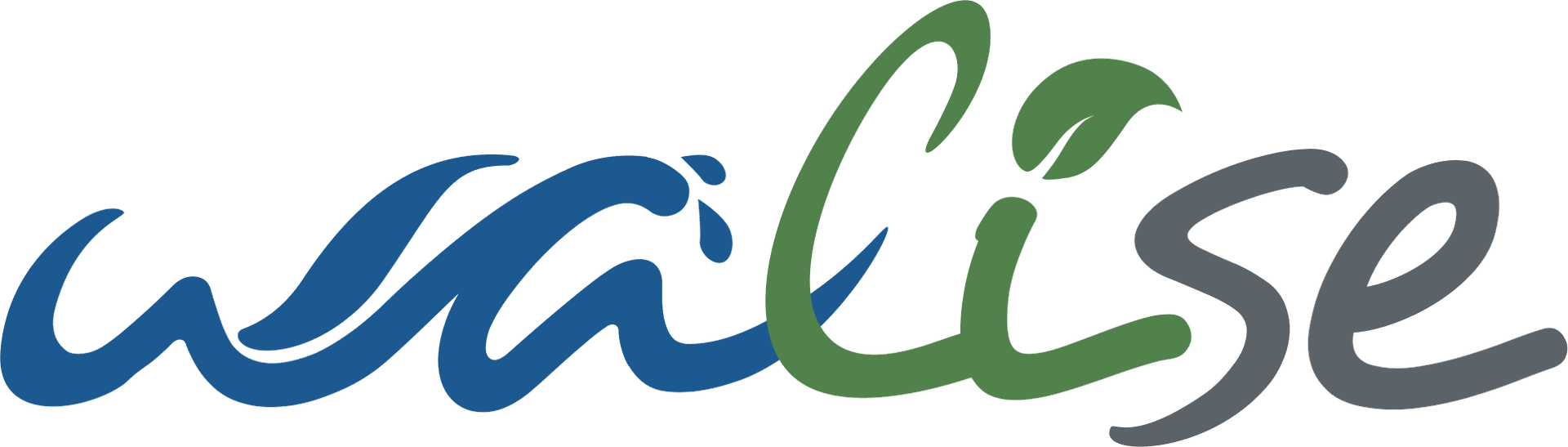 WALISE -Water & Life Services